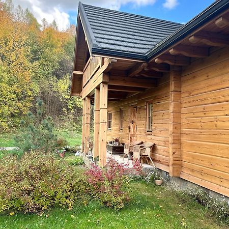 Fajna Chatka Ustrzyki Dolne Exteriör bild